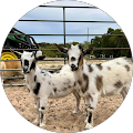 Dona B. profile picture